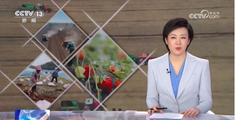 菌肥將是未來(lái)種地好肥料！